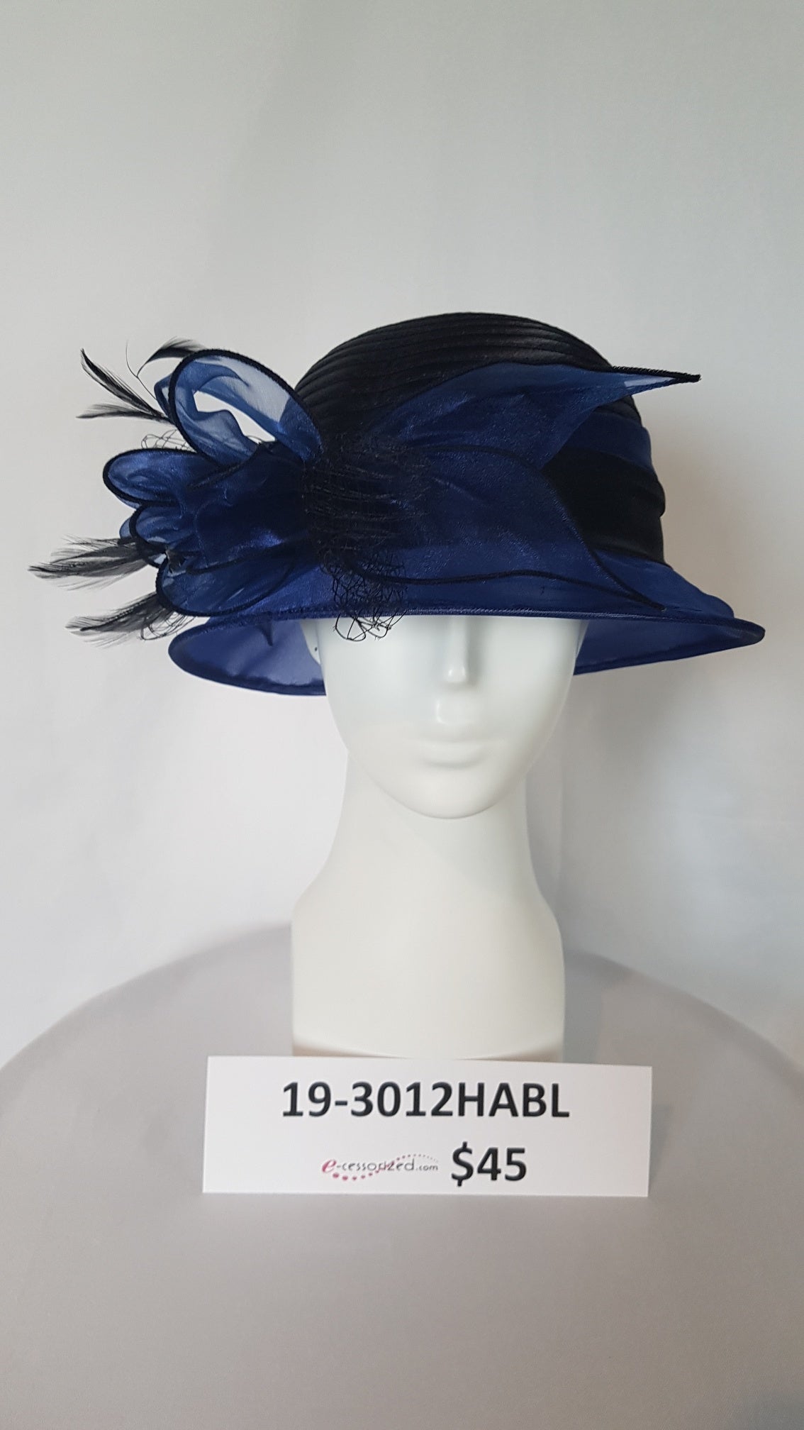 Royal Blue/Black Hat